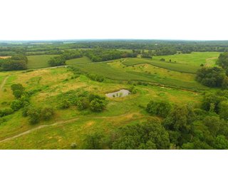 TRACT 69 - ILLINOIS LAND AUCTION - 4,810+/- ACRES OFFERED IN 85 TRACTS IN FRANKLIN, WILLIAMSON, HAMILTON & SALINE COUNTIES, ILLINOIS